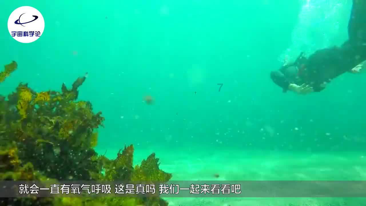 央视官方点评《侦察英雄》